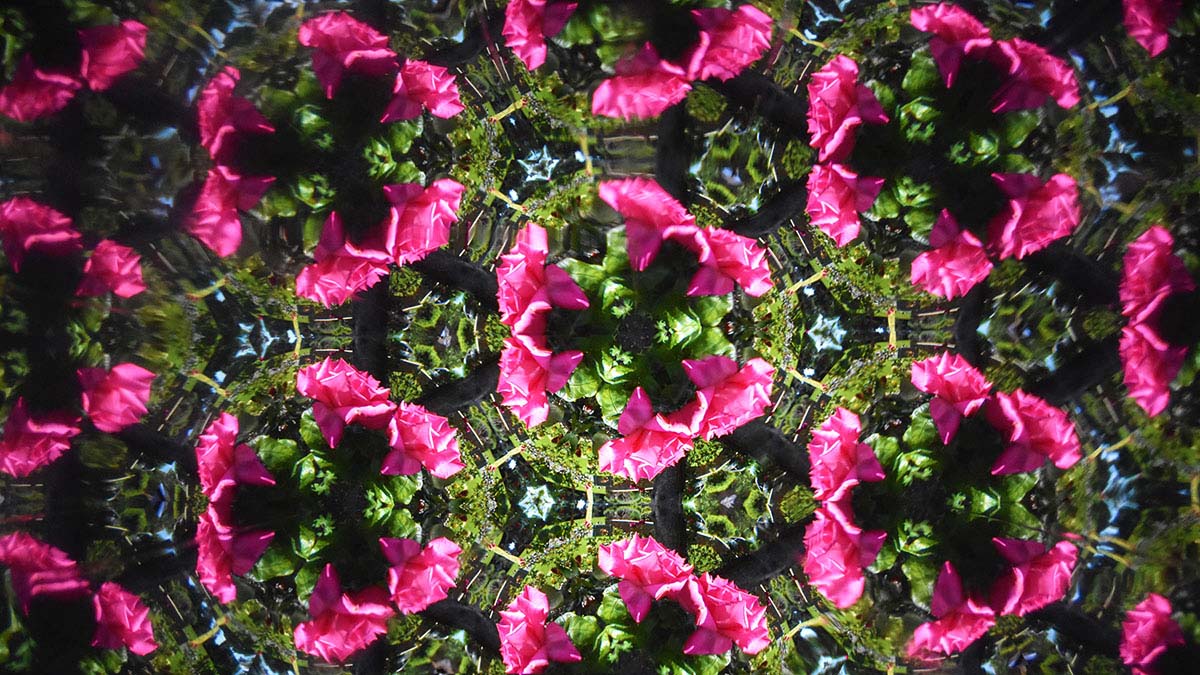 Looking Through A Teleidoscope