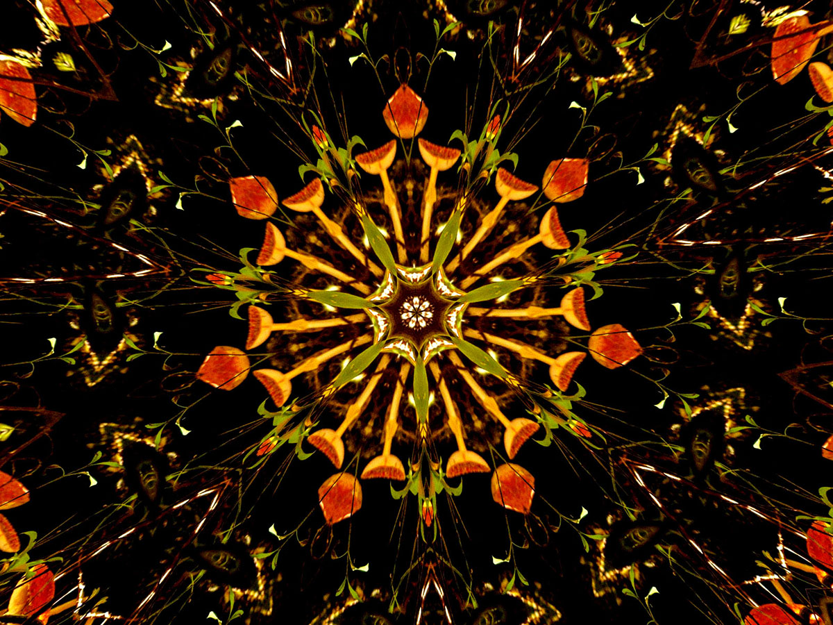 Kaleidoscopic Mushroom Art