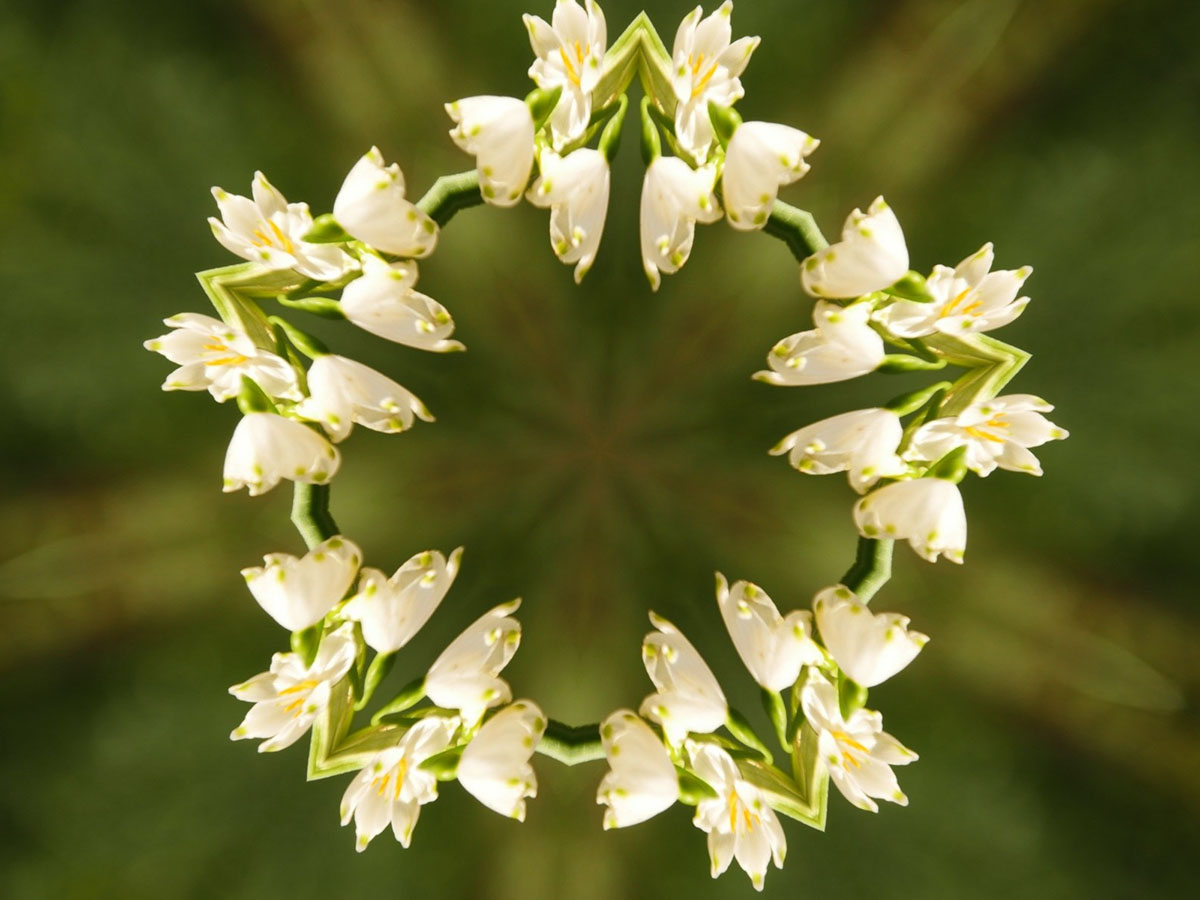 Kaleidoscopic Photography